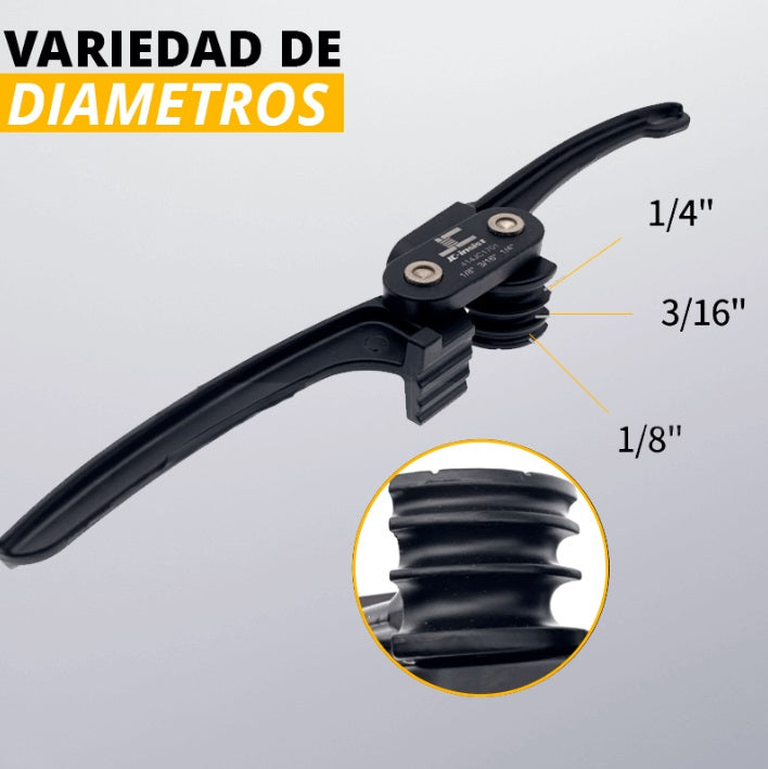 Encabezado